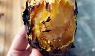 广东床上咬人的虫子叫什么 小咬是什么虫子