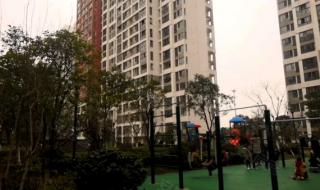 西青赛达津衡实验小学怎么样 西青区实验小学