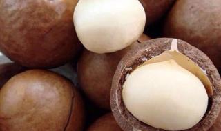 夏威夷果是产自夏威夷吗 夏威夷果产自哪里