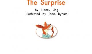 惊喜的英文surprise