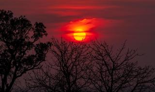 人生最美的姿态在于奋斗名言 最美的姿态