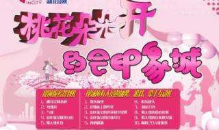 桃花朵朵开相亲节目 桃花朵朵开相亲节目