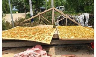 忘忧草代表什么意思