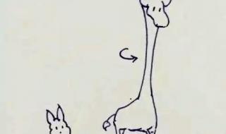 与之携手,白头到老下句是什么 我想要和你白头到老