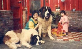 丹麦fifa世界排名 丹麦男足世界排名